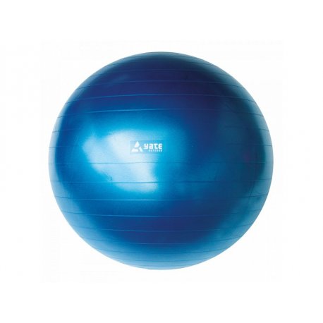 GYM Ball 65 cm 