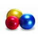 Gymnic Plus 55 cm - nafukovací cvičební míč pro všechny věkové skupiny