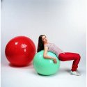 Therasensory 65 cm - GYMNIC