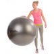 Physioball Ledragomma - velký míč k relaxačnímu cvičení a posilování