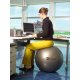 Značkový gymnastický míč Ledragomma ke cvičení a sezení