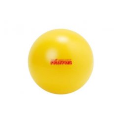 Volejbal V5 240g soft guma míč Gymnic