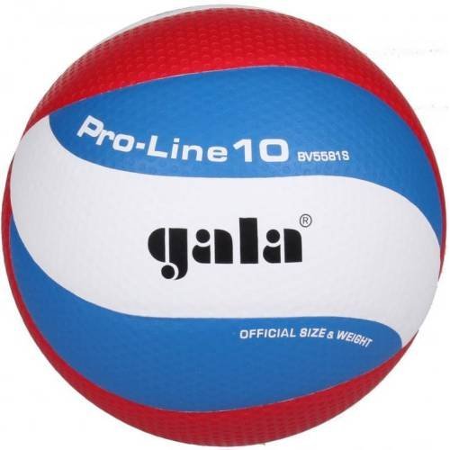 Míč volejbal Gala BV5581S Pro Line