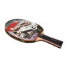 Pálka na stolní tenis vhodná&nbsp; pro začínající, útočnější typ hráčů.