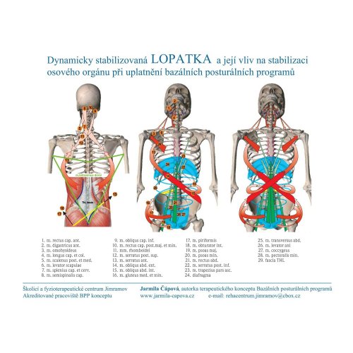 Schéma Dynamicky stabilizovaná lopatka