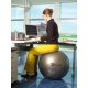Sit Solution Maxafe 55 cm - LEDRAGOMMA - značkový míč na sezení