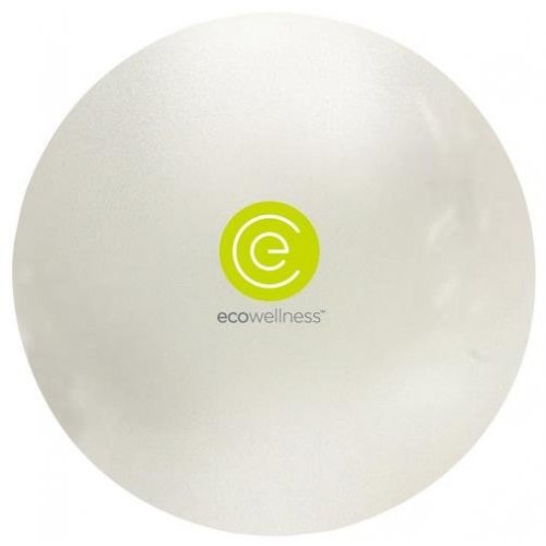 ECO Wellness gymball 75 cm