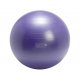 Gymnic Plus 65 BRQ gymball
