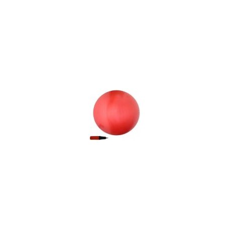 GYM Ball 65cm odolné ABS provedení + hustilka