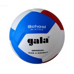 Volejbalový míč gala SCHOOL BV5711S