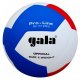 Míč volejbal Gala BV5121