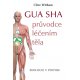 Gua sha pro obličej