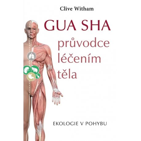 Gua sha pro obličej